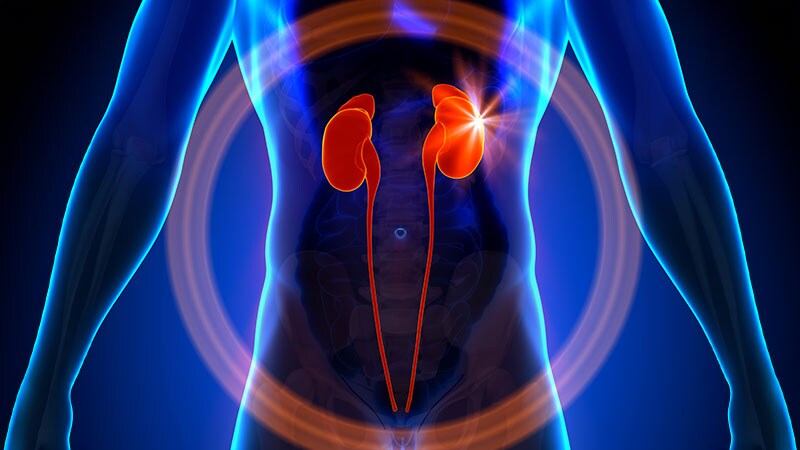 KDIGO Supports HCV+ Kidneys Going To HCV– Recipients