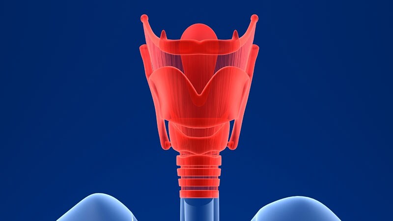 France's First Larynx Transplant