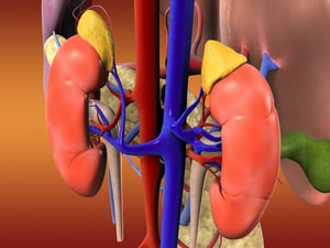 Legacy of Neutral SYMPLICITY HTN-3 Recast by Long-term Outcomes